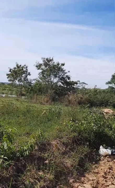 foto - Cabo Frio - Jardim Esperança