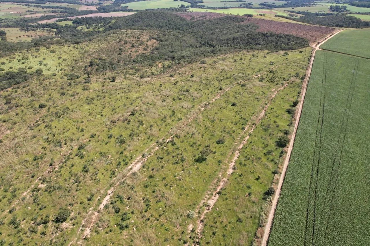Vendo chácara de 10,5 alqueires no município de São Miguel do passa quatro - Foto 5