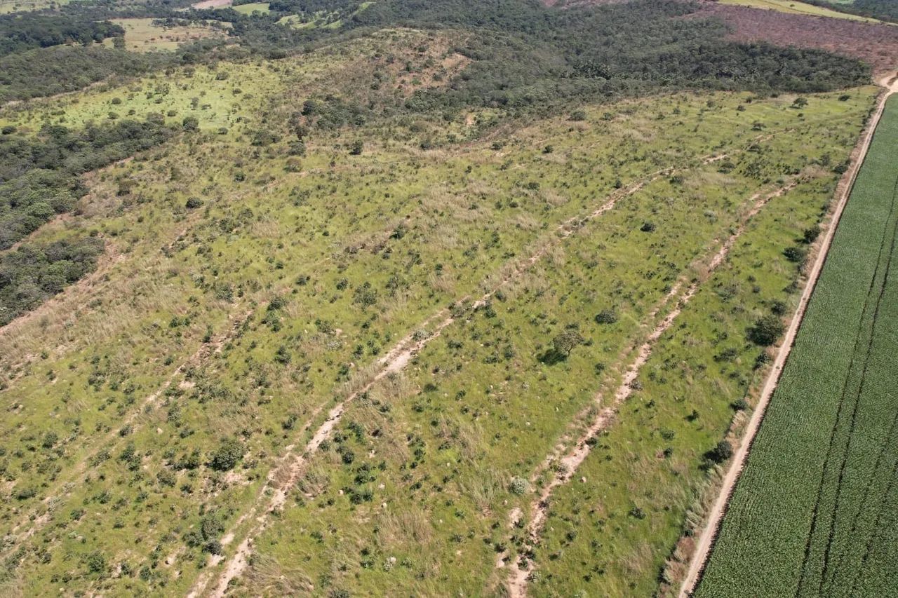 Vendo chácara de 10,5 alqueires no município de São Miguel do passa quatro - Foto 4