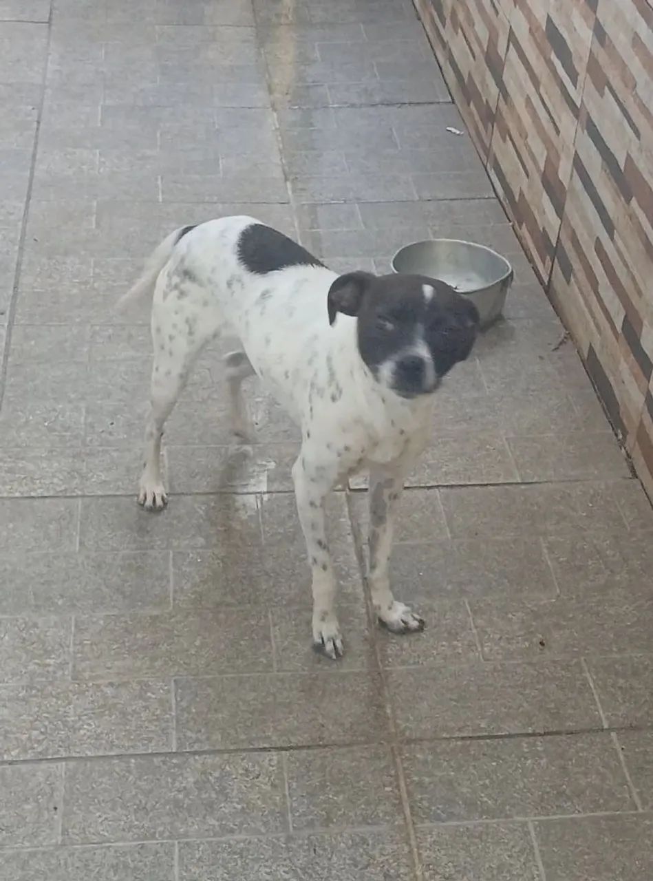 Doação  - Foto 2