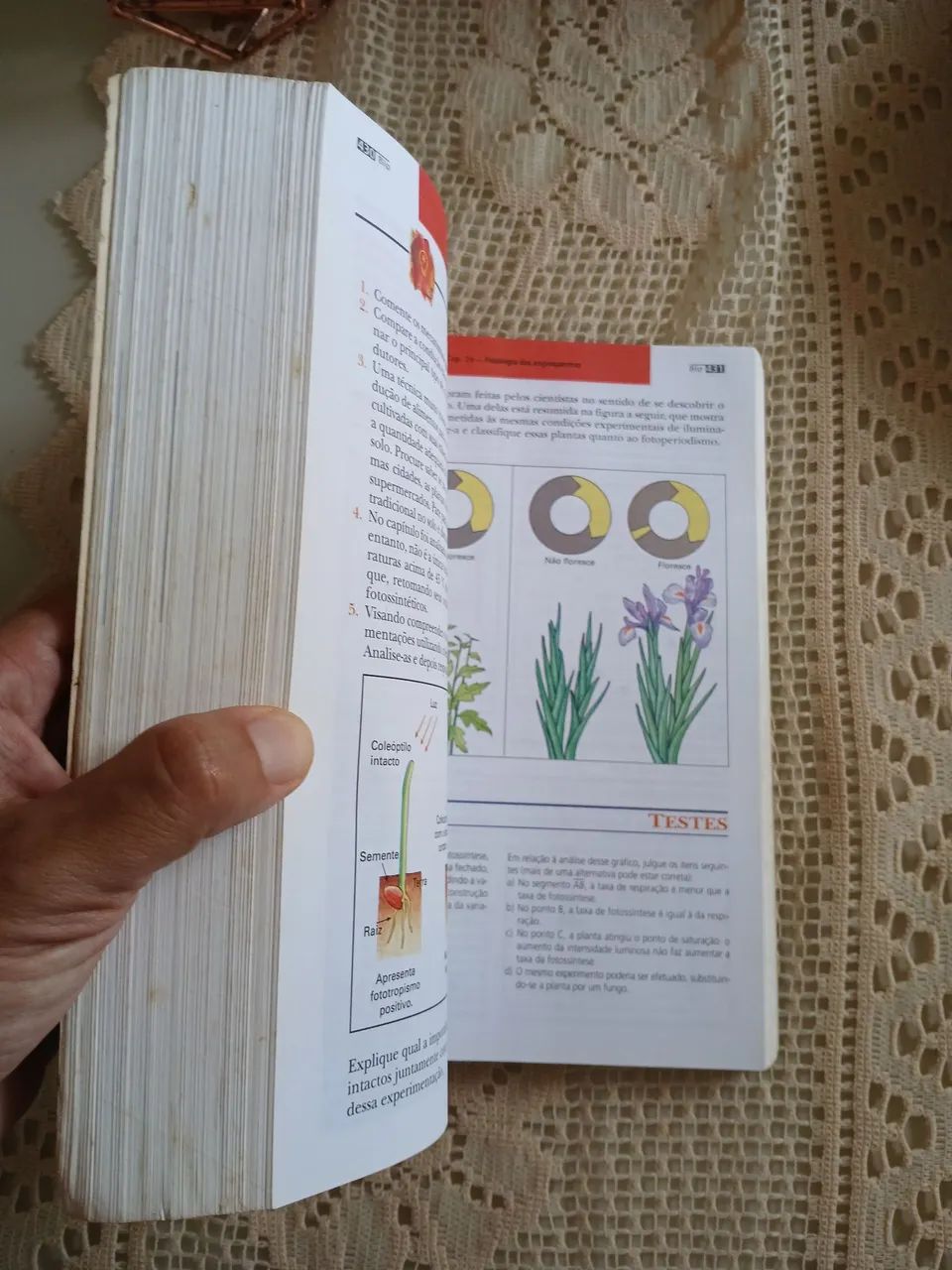 Livro BIO - Sônia Lopes - Volume Único - Foto 2