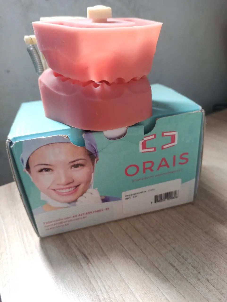 Manequim odontológico