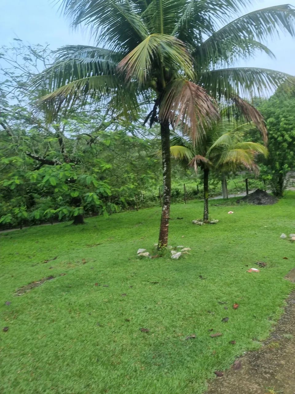 Chácara a venda  - Foto 3