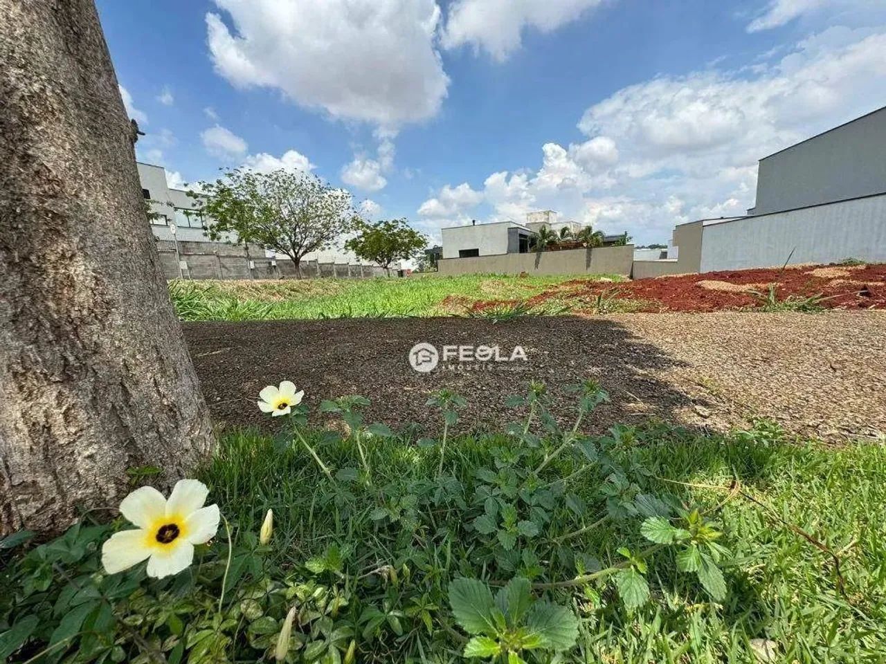 Terreno à venda, 453 m² por R$ 780.000 - Jardim Pau Brasil - Americana/SP - Foto 4