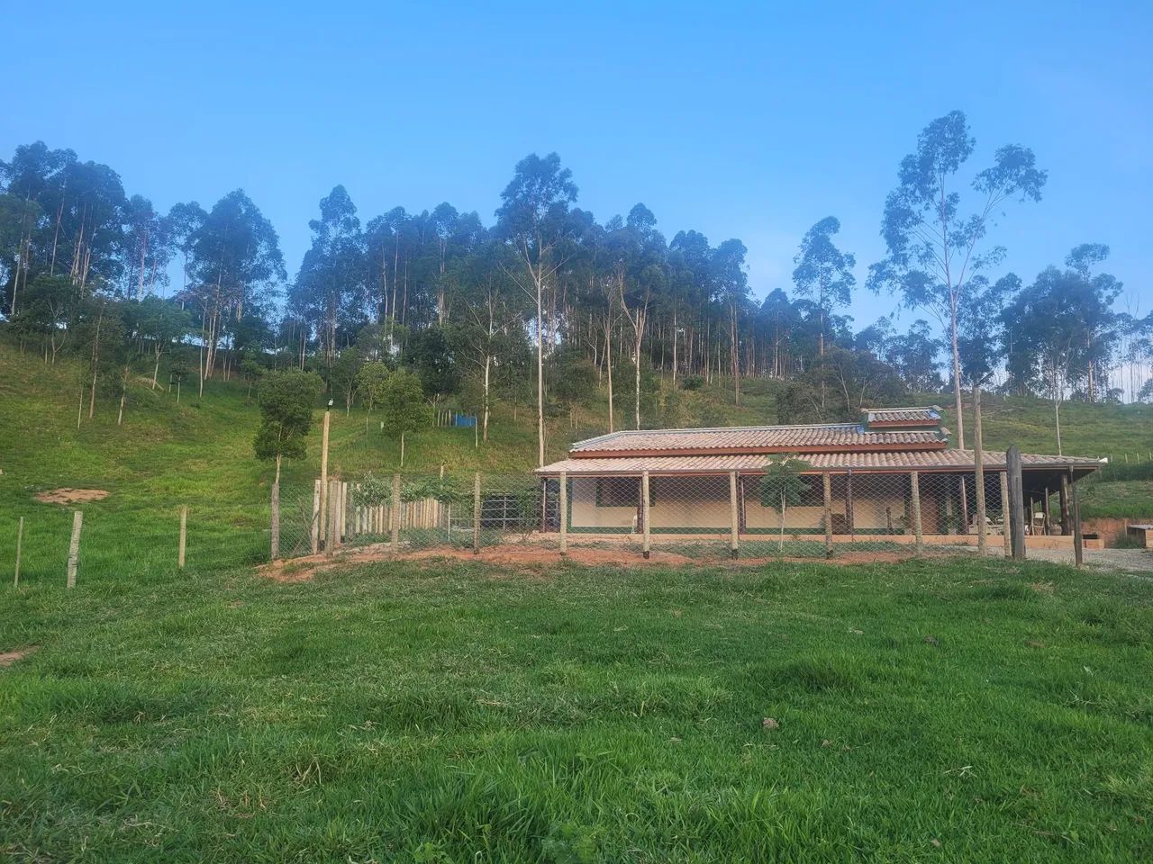 Sitio  / venda .7 hectares  - Foto 4