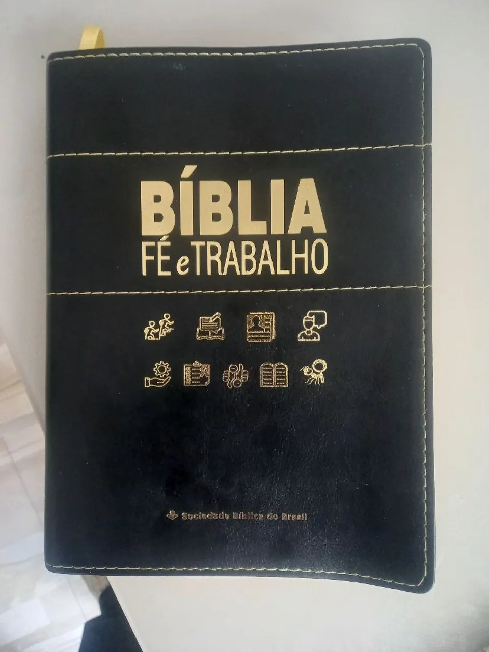 BIBLIAS DE ESTUDO 100 REAIS CADA ,