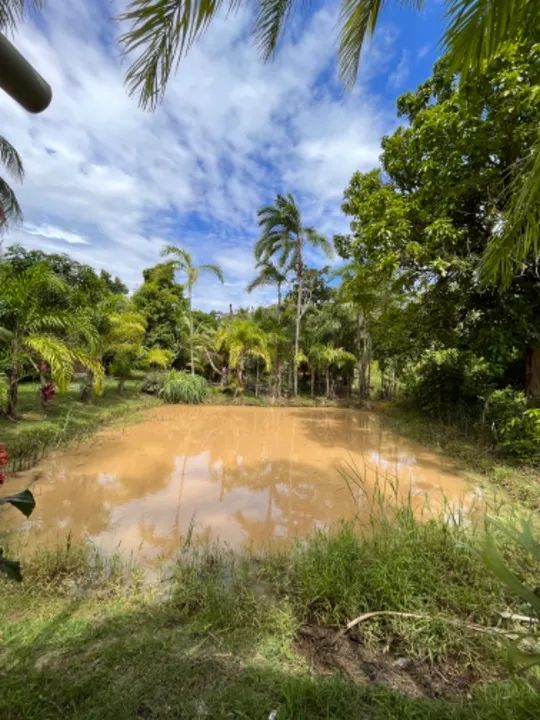 Sítio em Anchieta-ES: Sua Chance de Viver com Tranquilidade e Praticidade - Foto 3