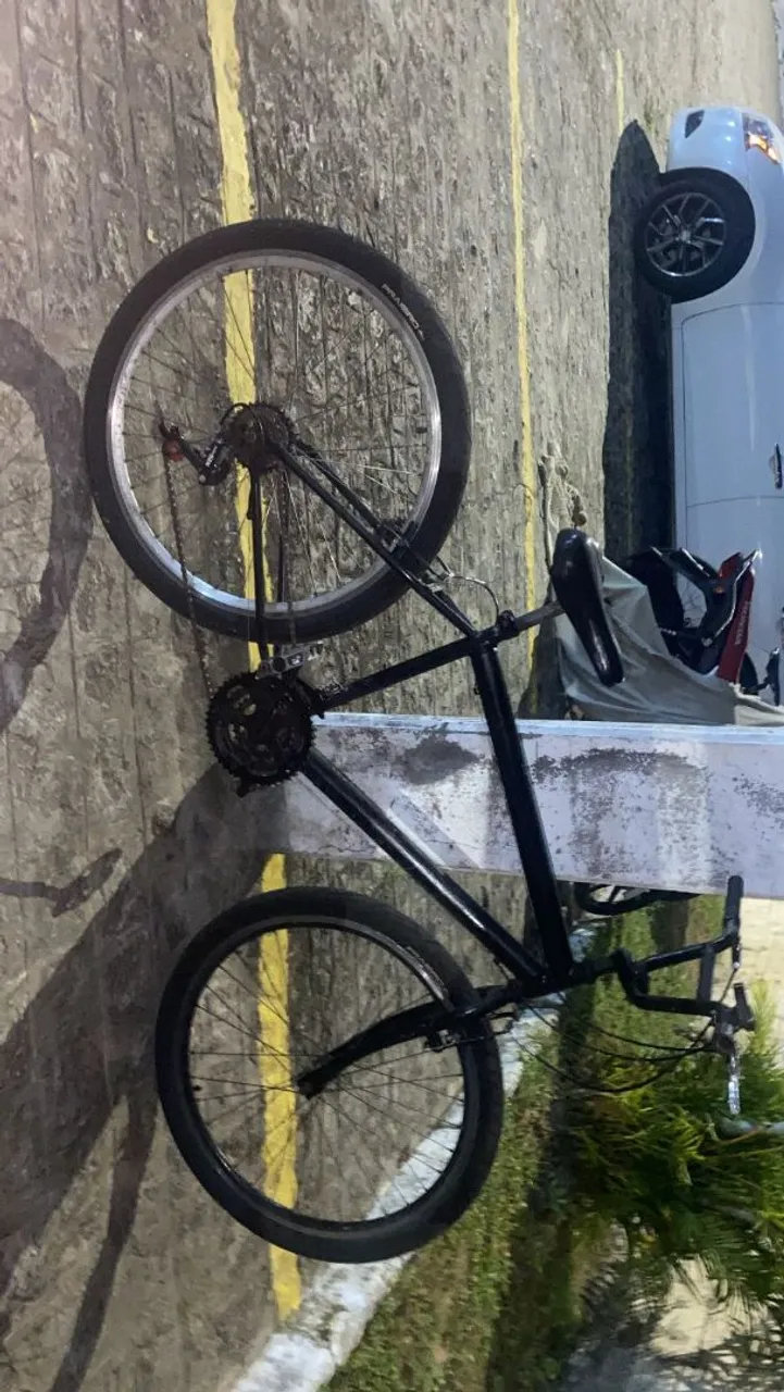 Bicicleta de Passeio