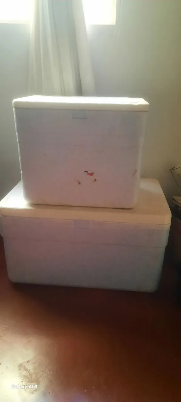 Caixas térmicas