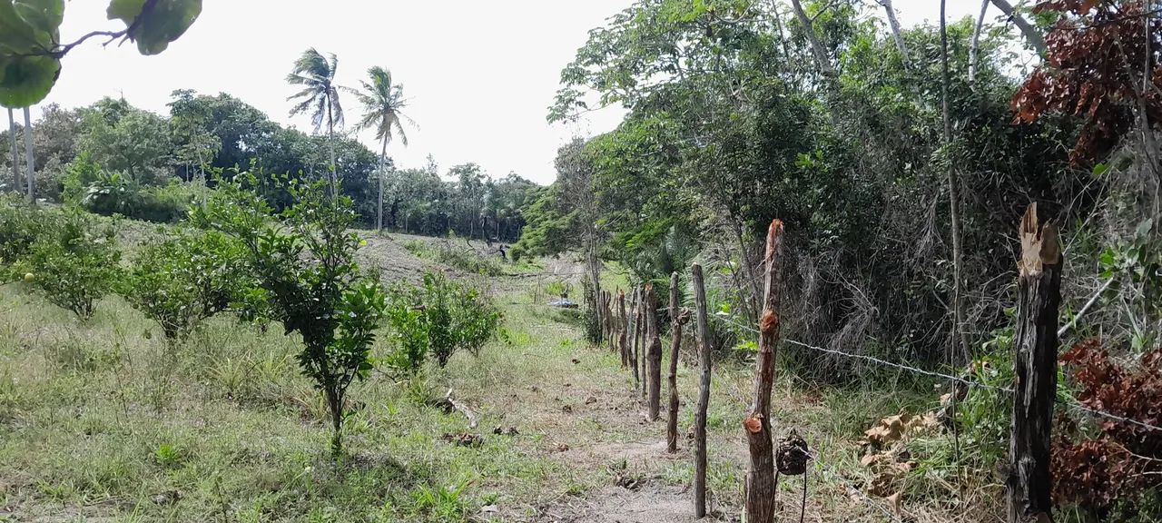 Sitio 3 taferas itaporanga  - Foto 13