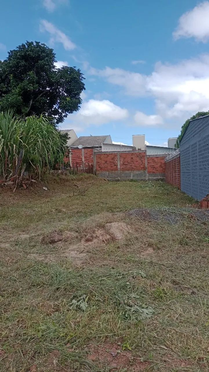 Serviço de capinagem e roçagem  - Foto 2