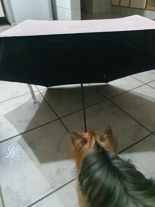 Mini guarda-chuva rosa com case - Foto 3