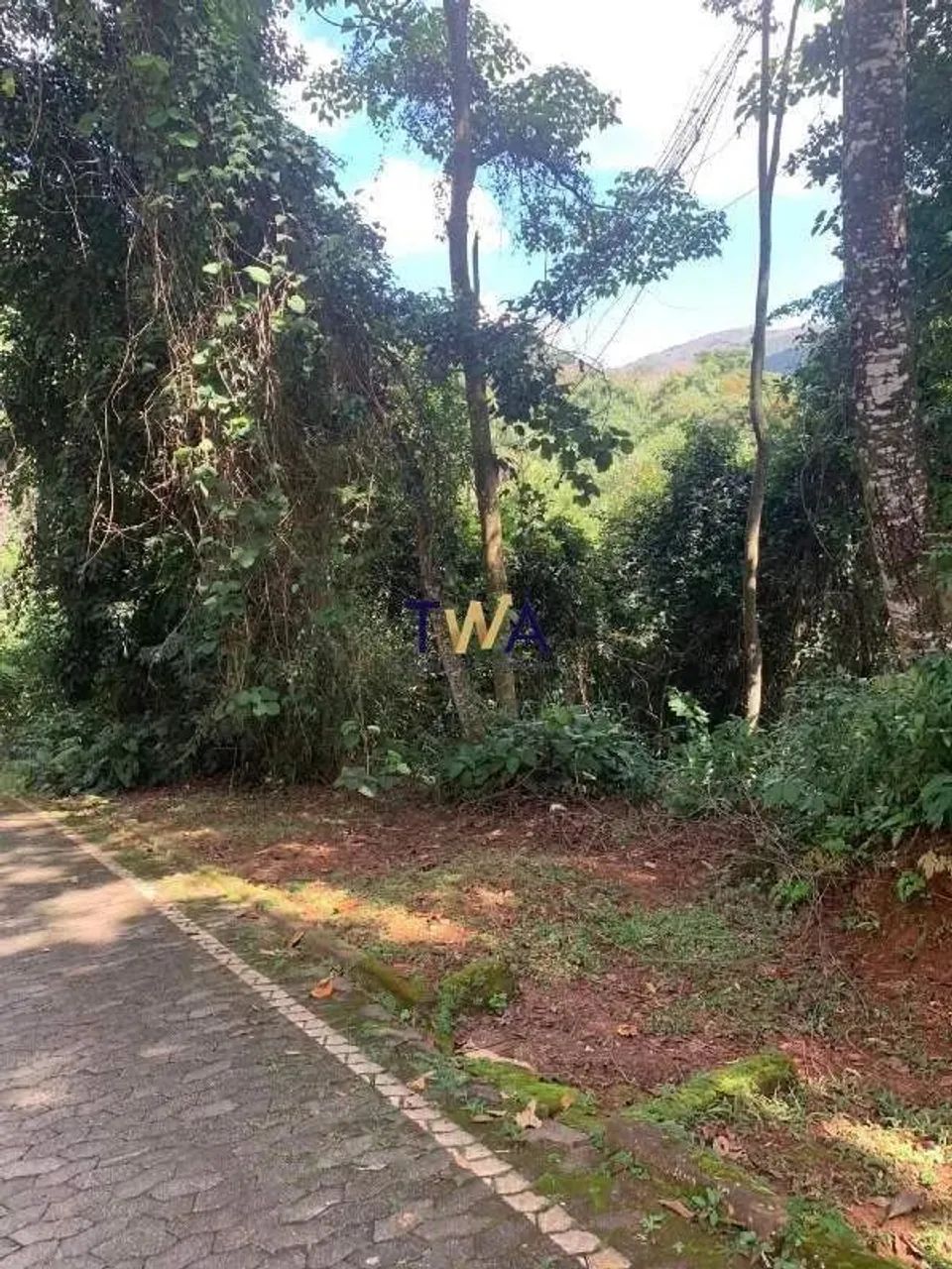 Lote em condomínio, Bosque da Ribeira, Nova Lima, R$2.390.000,00, à venda na TWA Investime - Foto 5