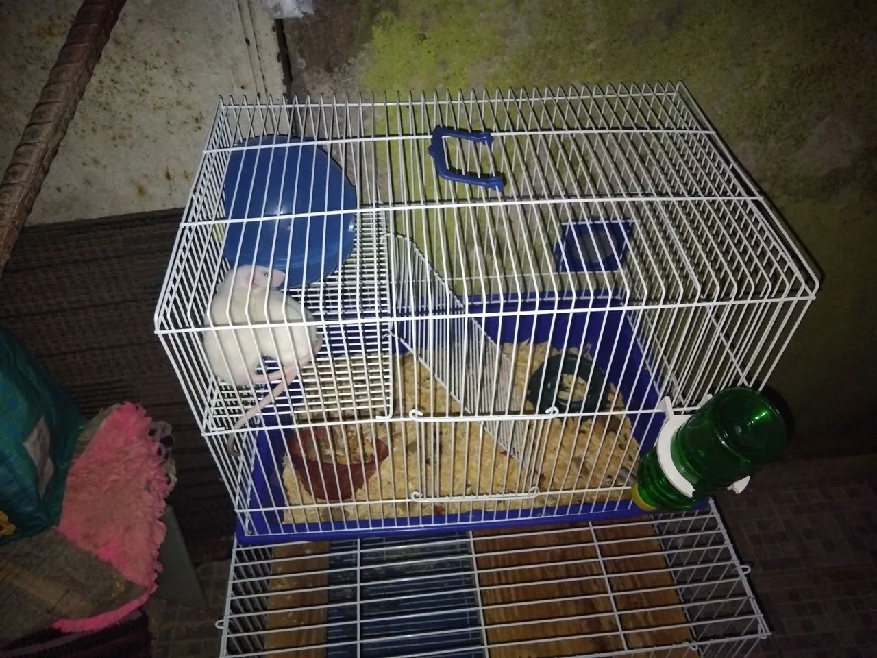 Rato Twitter estou vendo  - Foto 3