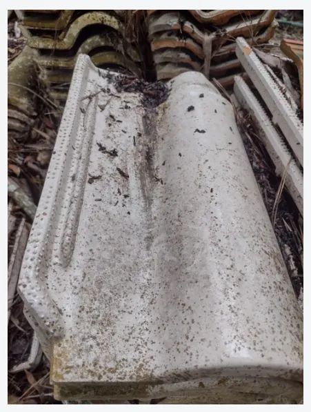 doa-se 120 Telhas (tipo romana)