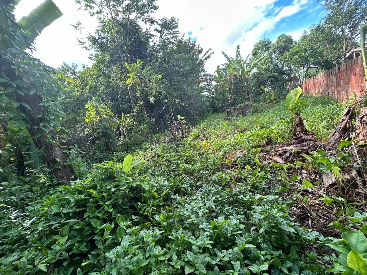 Vendo terreno no bairro cantão  - Foto 2