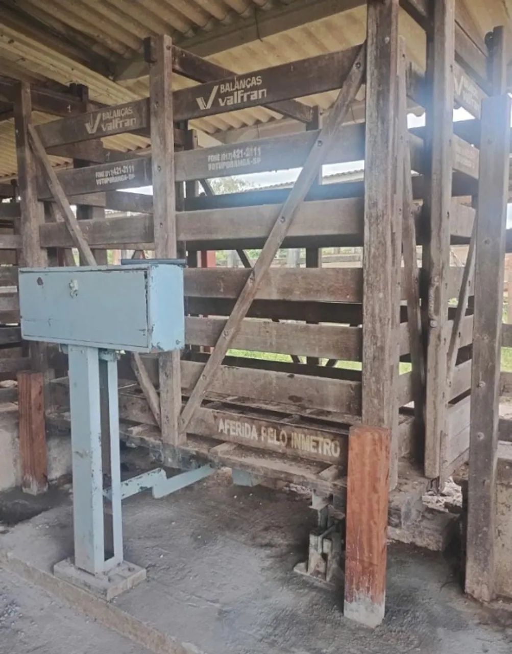 Balança de gado com kit eletrônico te pesagem bovina