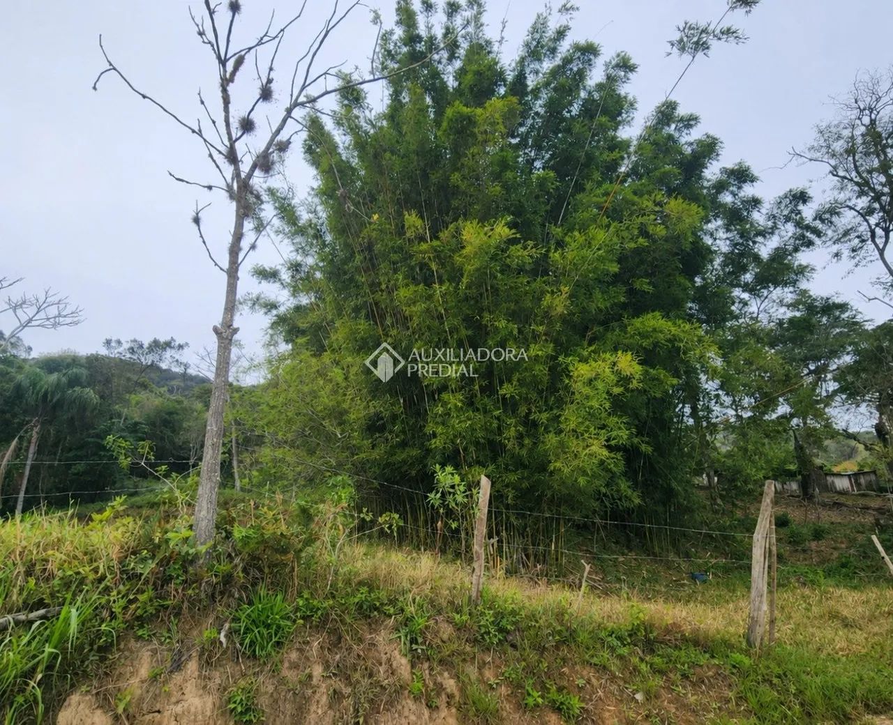 Área com 7 hectares à venda em Paulo Lopes/SC - Foto 5