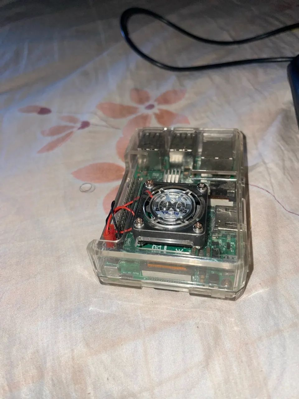 raspberry  - Foto 2