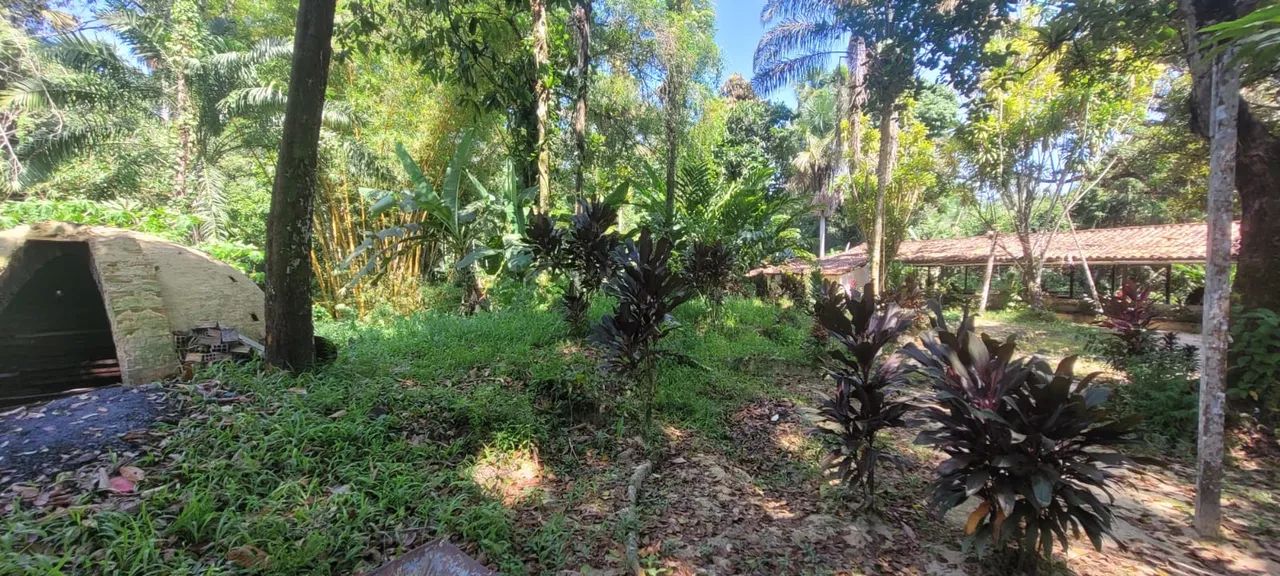Sítio recanto abençoado está venda  - Foto 4