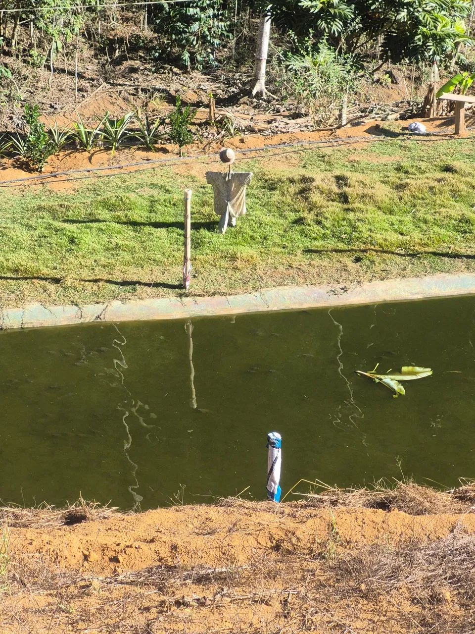 Chacara em Rio das Farinhas - Santa Leopoldina - Foto 2