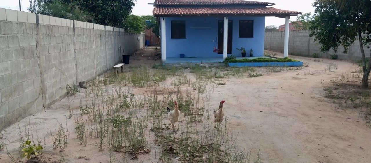 Vendo chácara alecrim miúdo - Foto 4