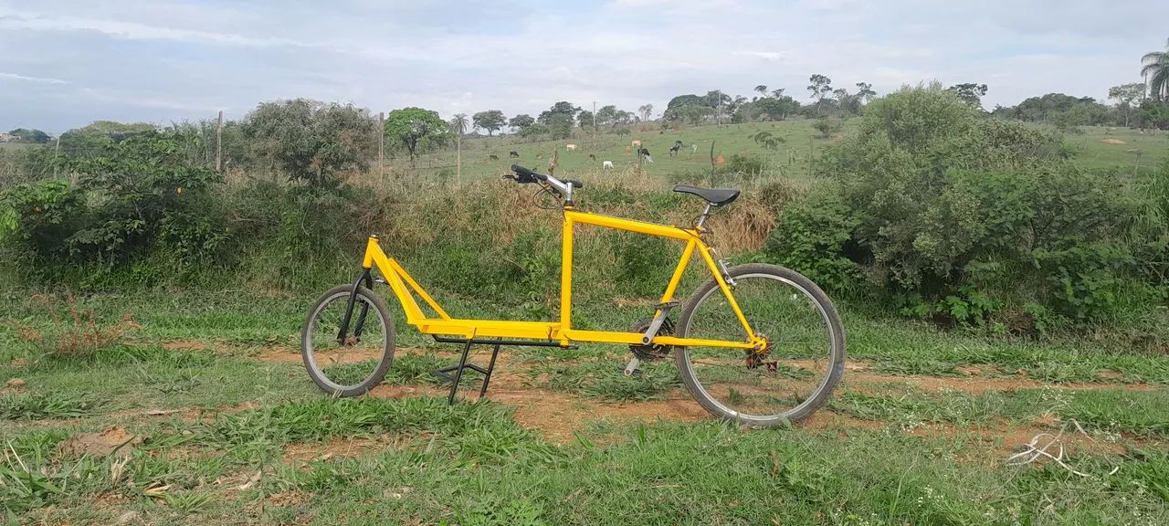 Cargo bike (bakfiets) - Foto 4