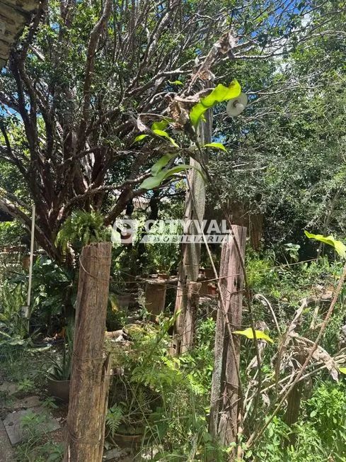 Venda Casa BRASIL - Foto 4