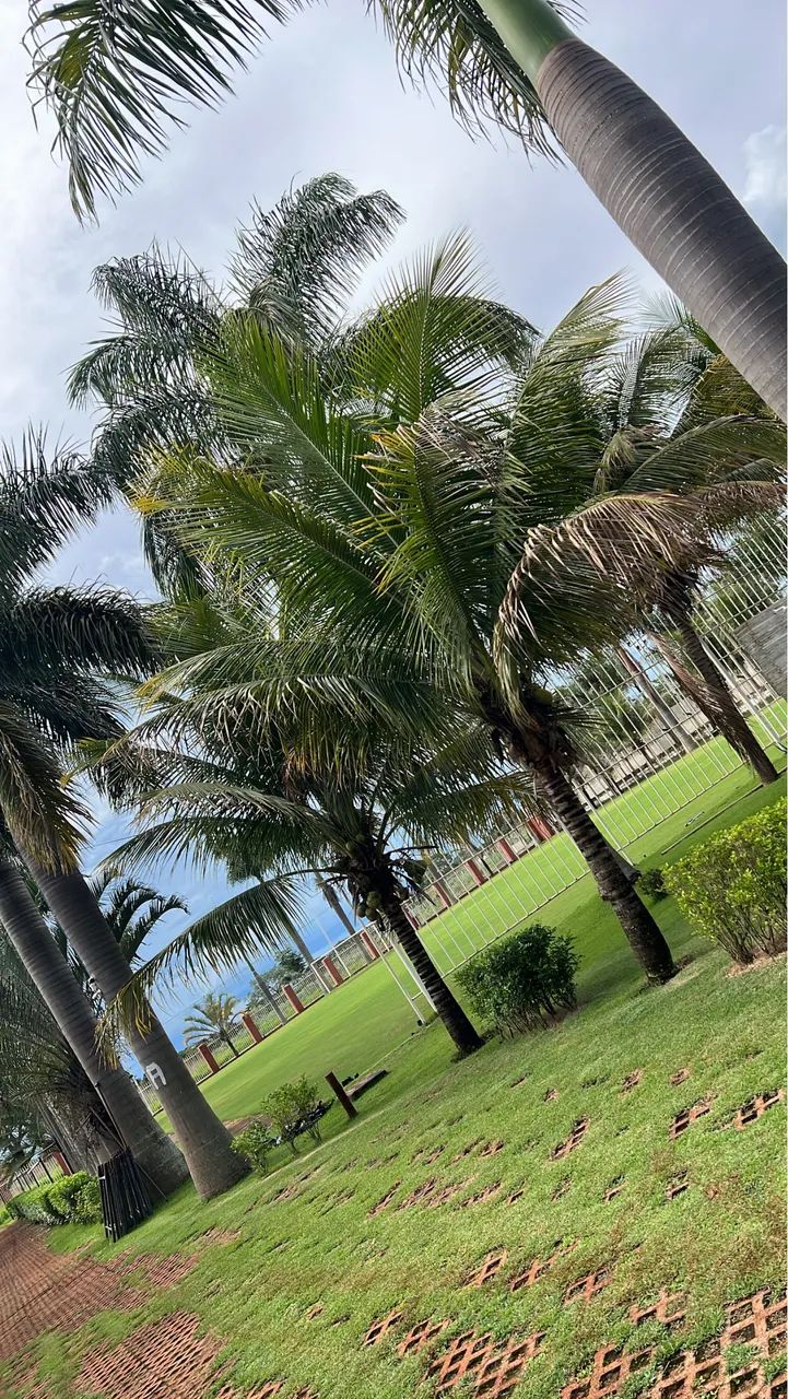 Chacara para Temporadas e Eventos em Goiânia-Go, região: Campus da UFG.  - Foto 6