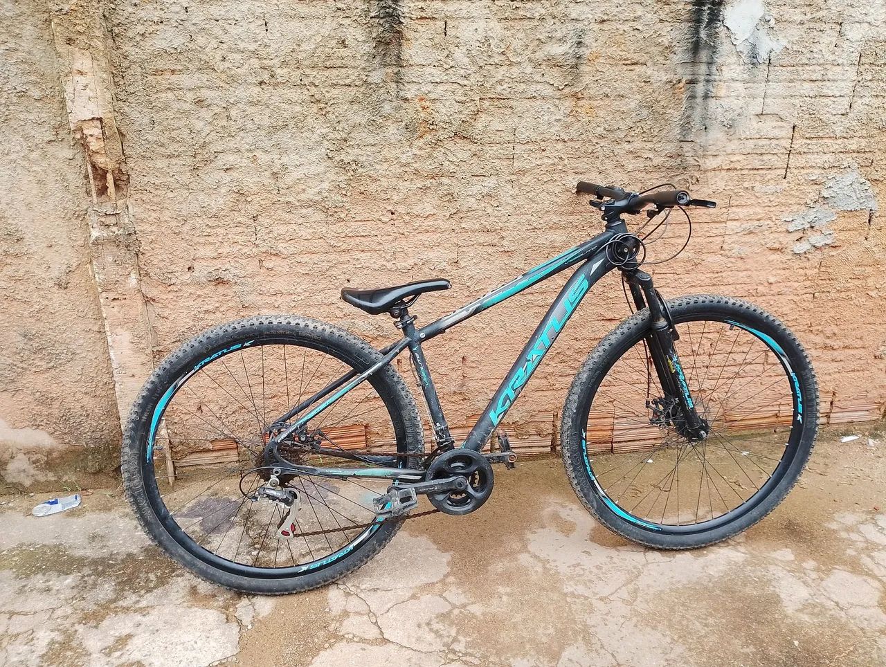Bicicleta 
