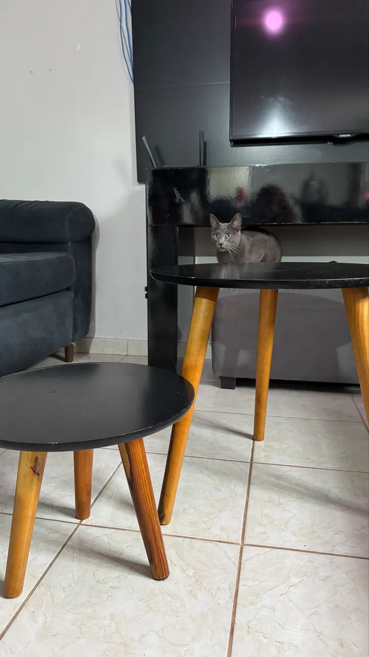 Conjunto Mesinhas Sala