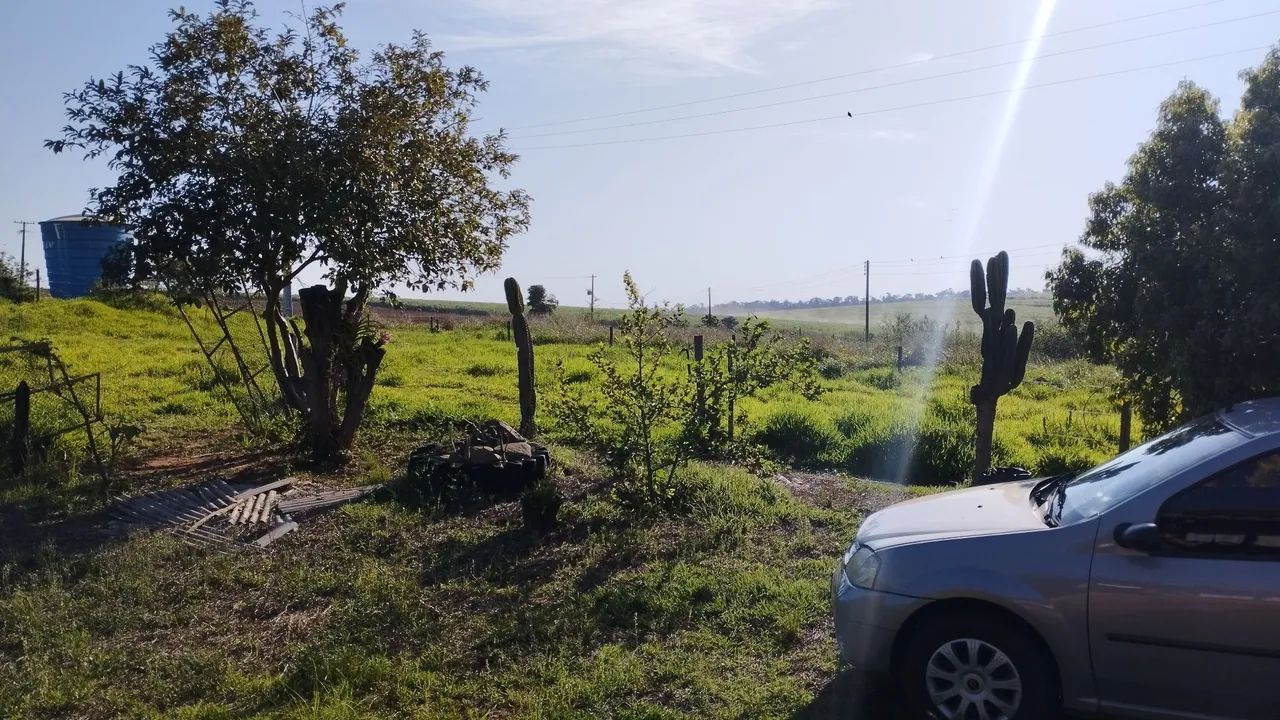 Vende-se sítio em Centenário do Sul - Foto 4