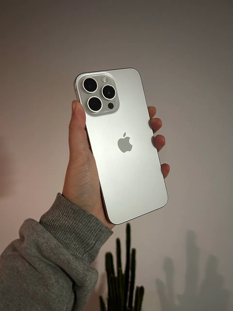 iPhone 15 Pro Max 256gb na garantia