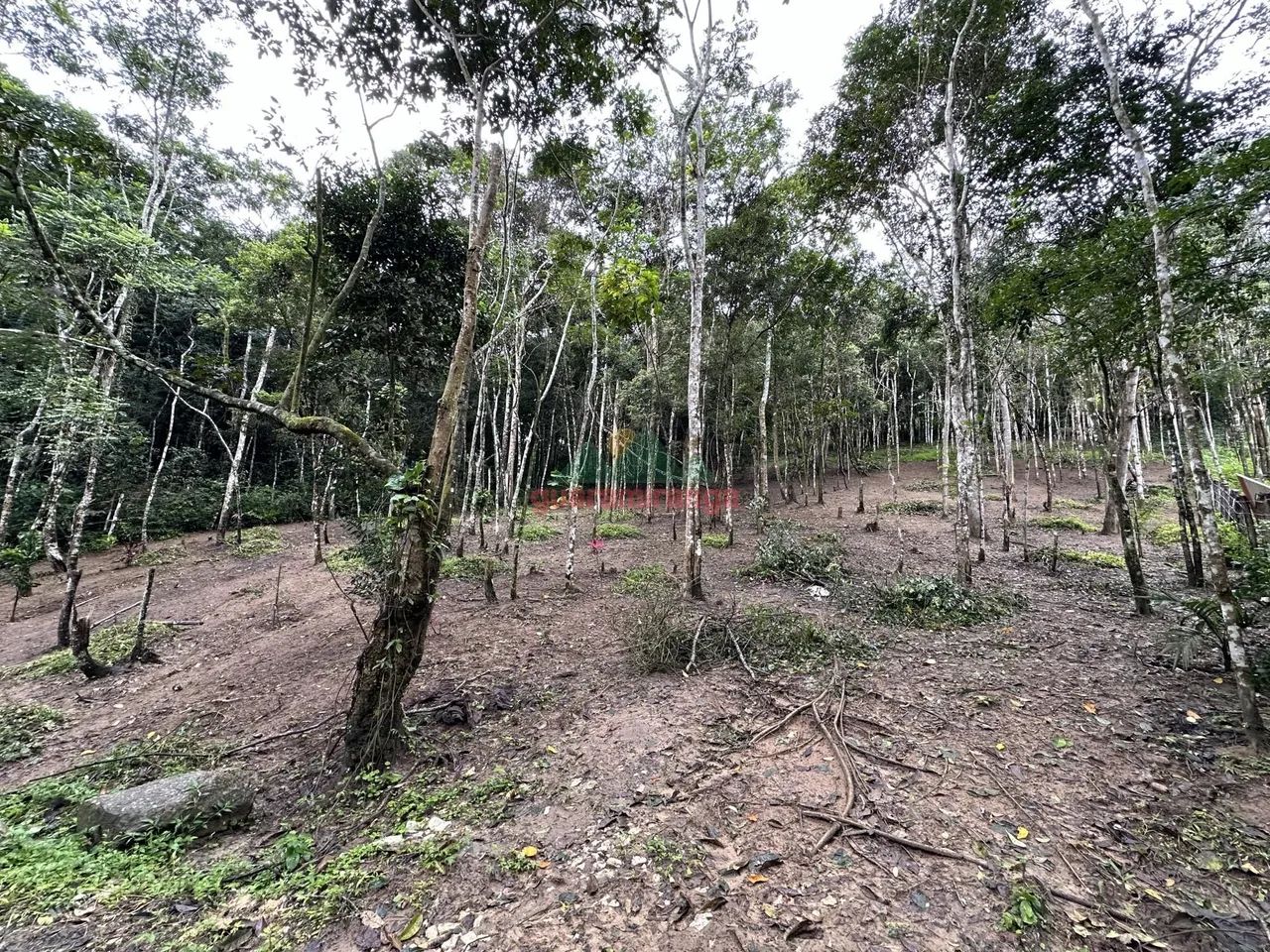 Gleba com 5.006,73 m², com documentação em Guaramiranga/CE. - Foto 3