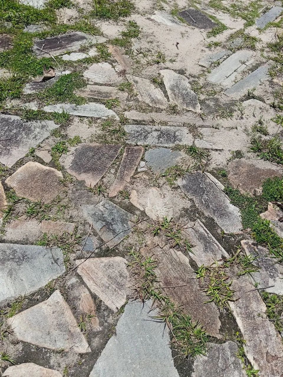 Sítio localizado no centro da cidade  - Foto 5