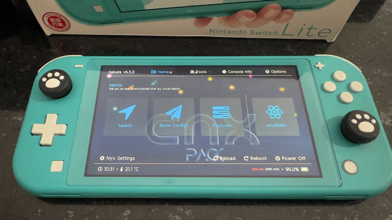 Nintendo Switch Lite 