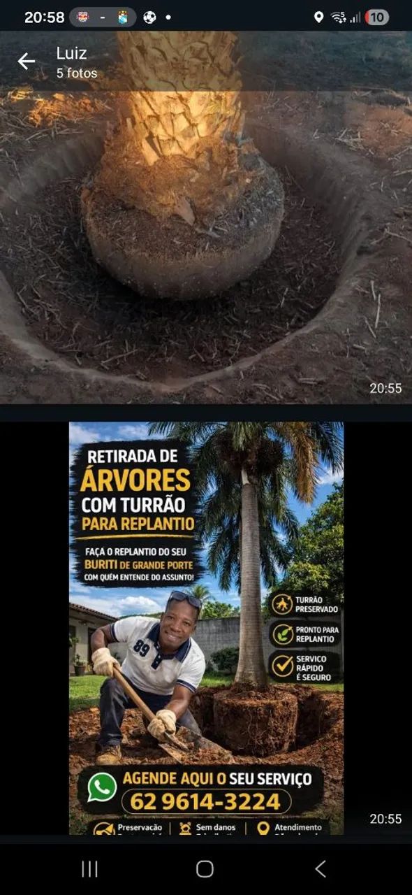 Luiz Moreira  - Foto 2