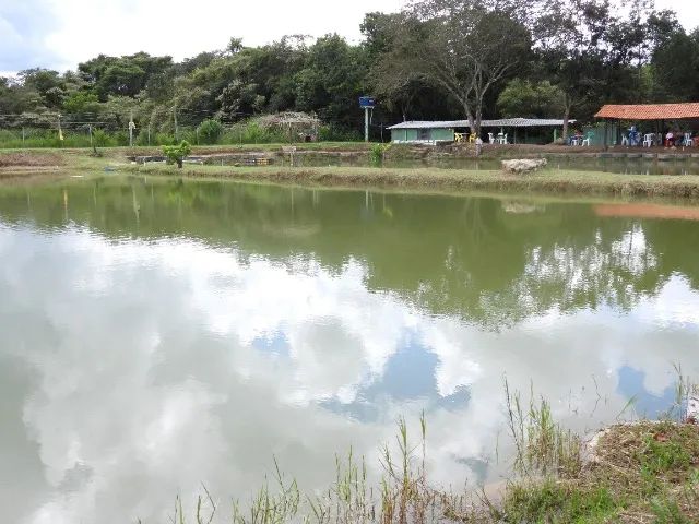 Chacara a venda com 3 hectares de propriedade