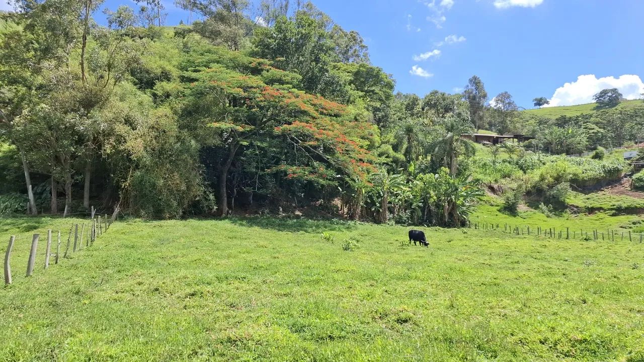 Terreno 9.000m²,Itajubá Mg - Foto 2