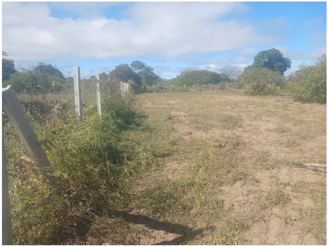 Terreno na Serra de Santana - Foto 3