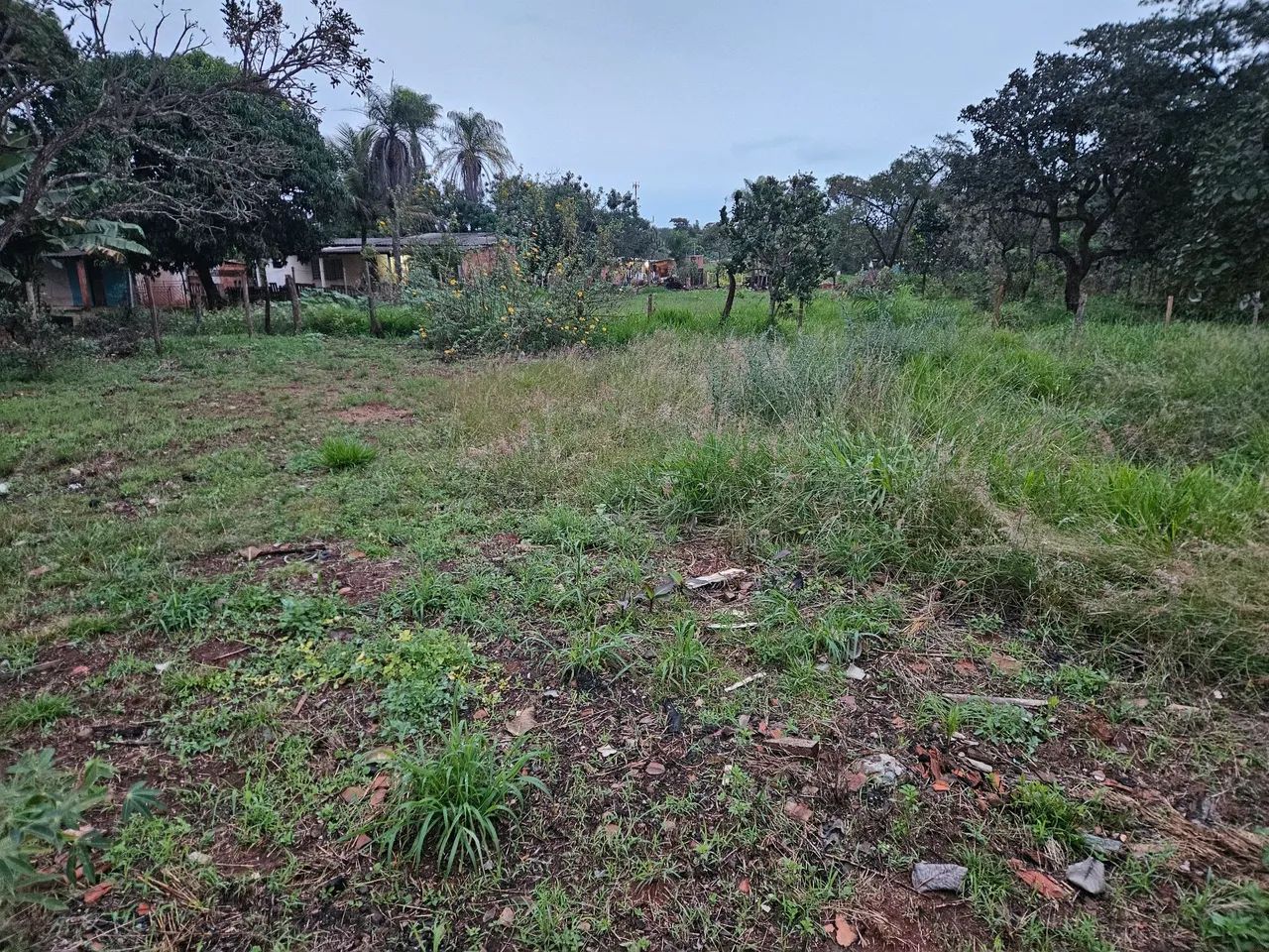 Terreno no Bairro NOROESTE  - Foto 3