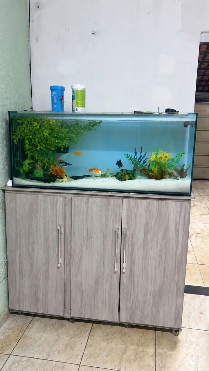 Aquário