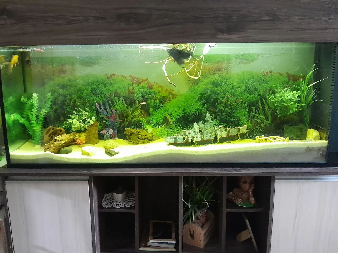 Vendo aquario completo 
