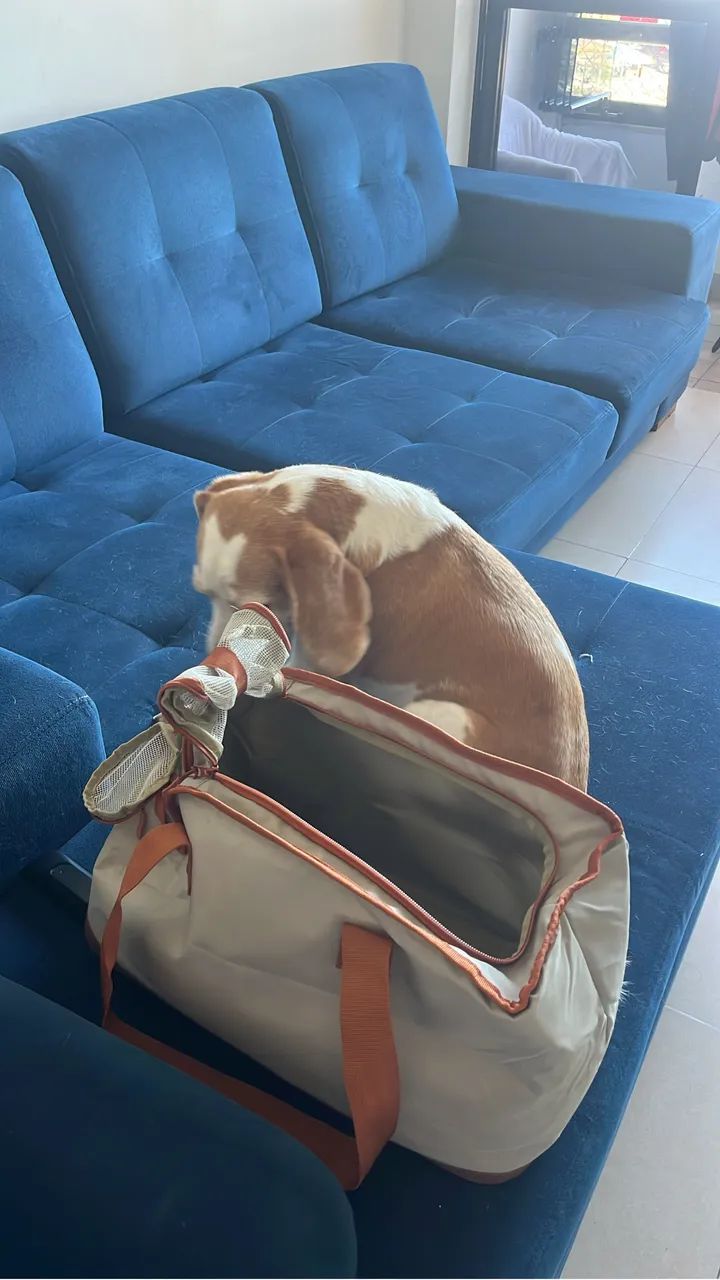Bolsa de transporte para cachorro - Foto 3