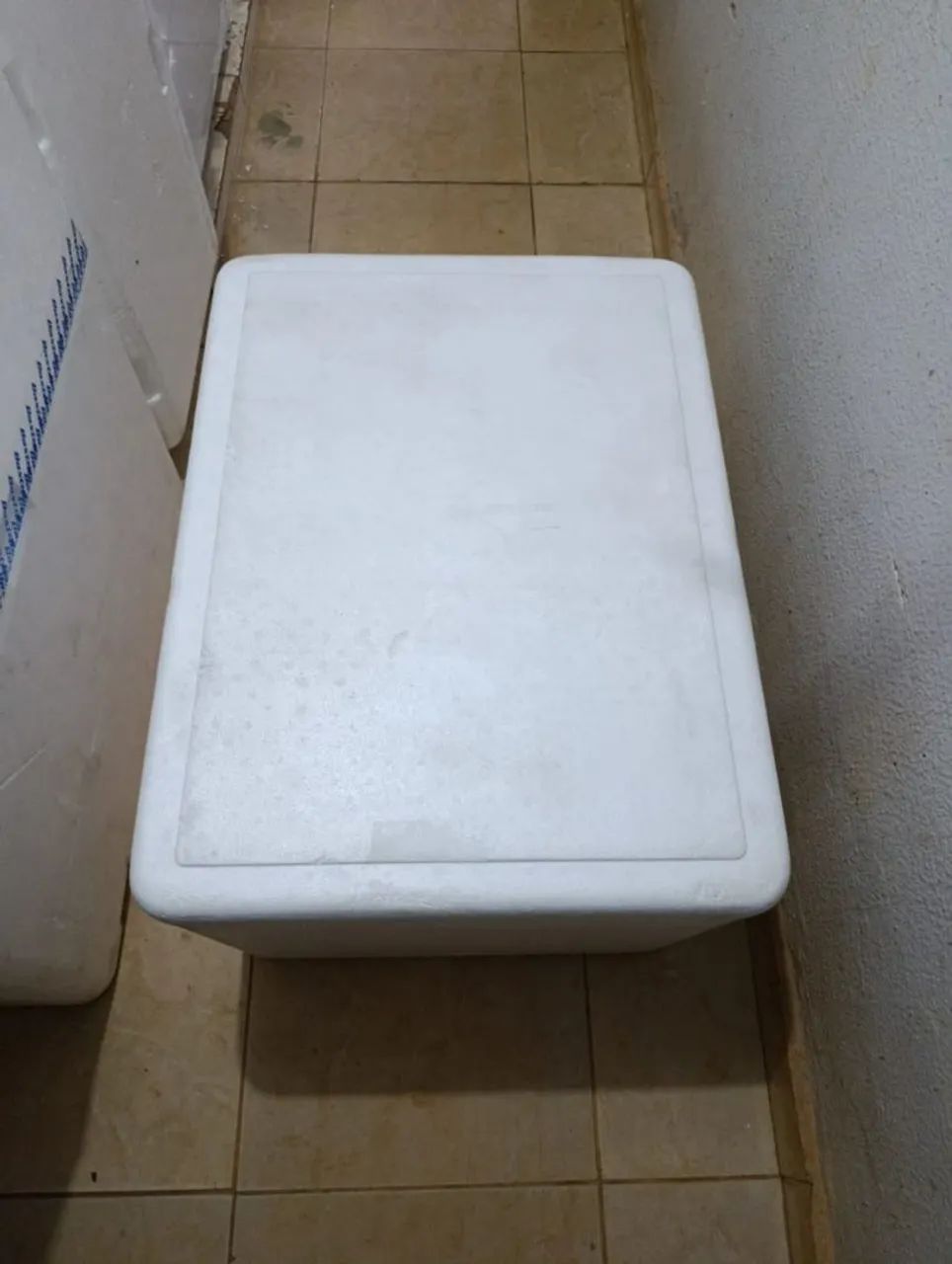 Caixa de isopor 