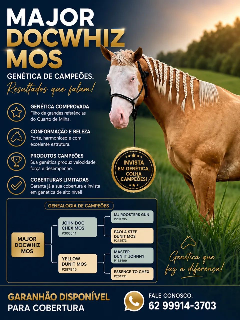 Cobertura Cavalo Quarto de Milha Gunner