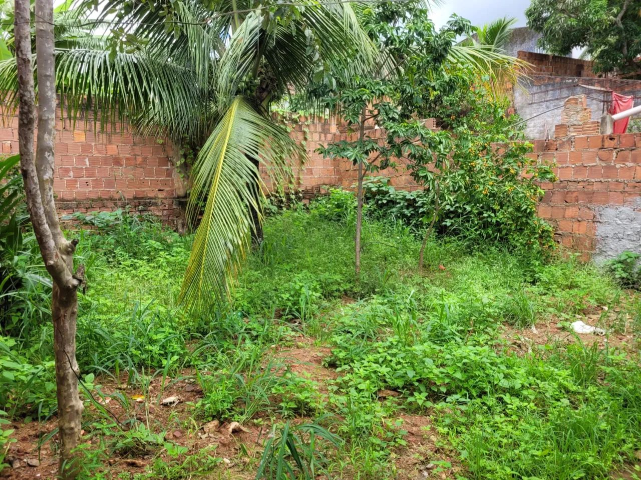 Casa com ótima localização e preço  - Foto 3