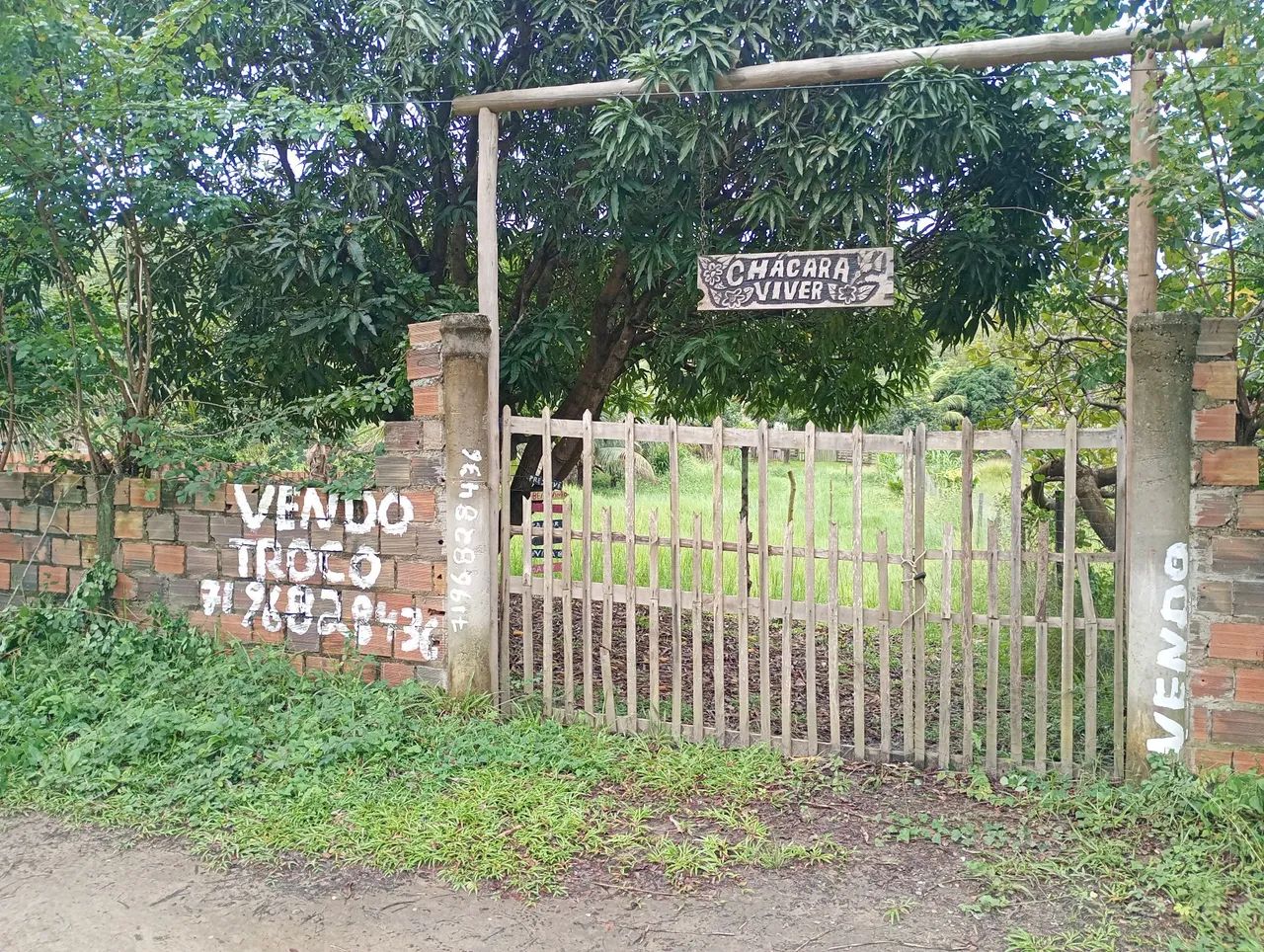 Vendo ou troco Mine sítio  - Foto 5