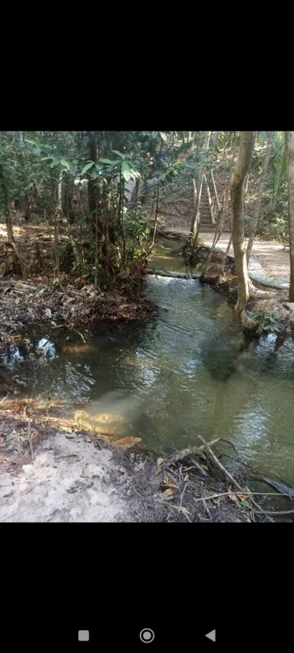 Lindo terreno com igarapé em alter do chão  - Foto 2