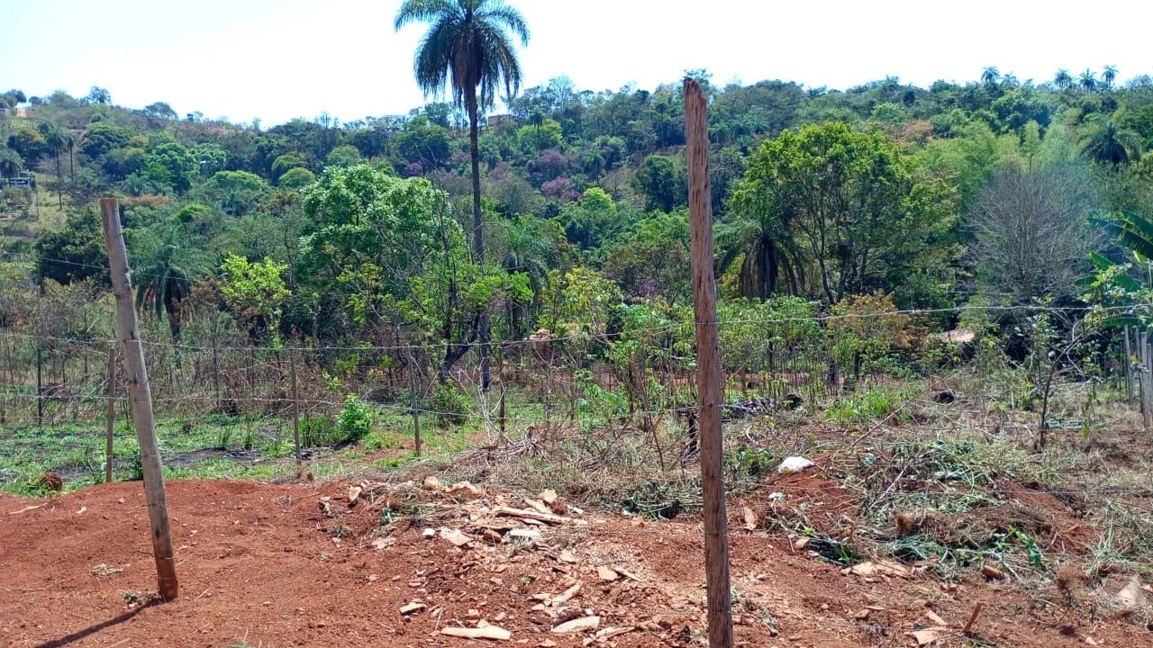 Lotes em mateus leme  - Foto 5